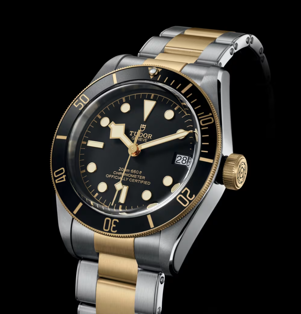 Tudor Black Bay S&G - 41 MM - Steel and Yellow Gold - Black Dial - M79733N-0008