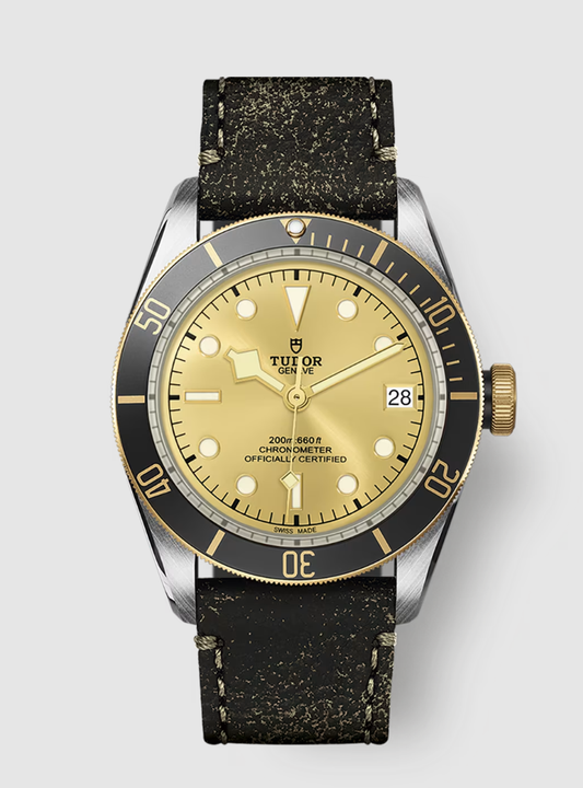 Tudor Black Bay S&G - 41 MM - Stainless Steel - Champagne Dial - M79733N-0003