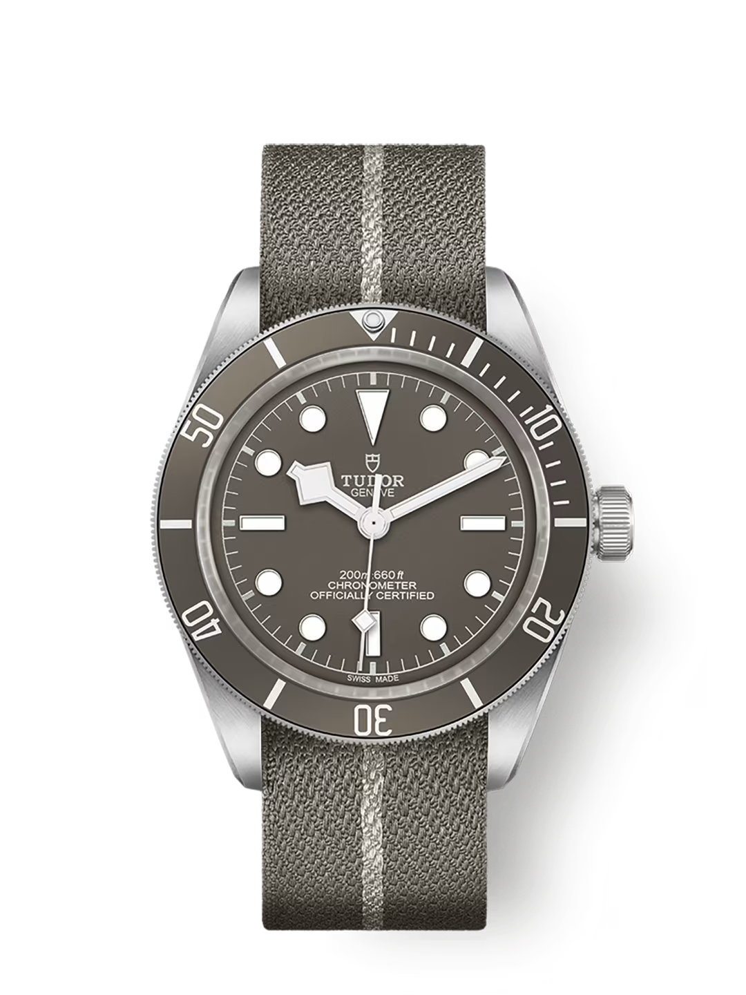 Tudor Black Bay 58 925 - 39 MM - 925 Silver - Taupe Dial - M79010SG-0002