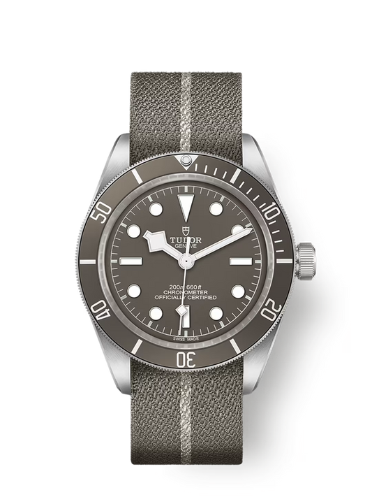 Tudor Black Bay 58 925 - 39 MM - 925 Silver - Taupe Dial - M79010SG-0002